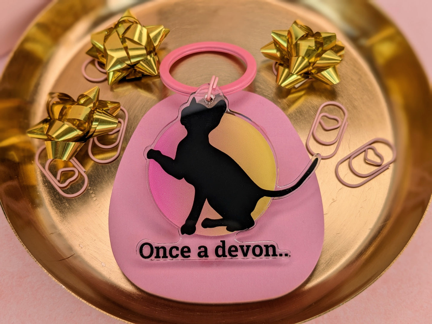 Nyckelring/keychain "Once a devon.."
