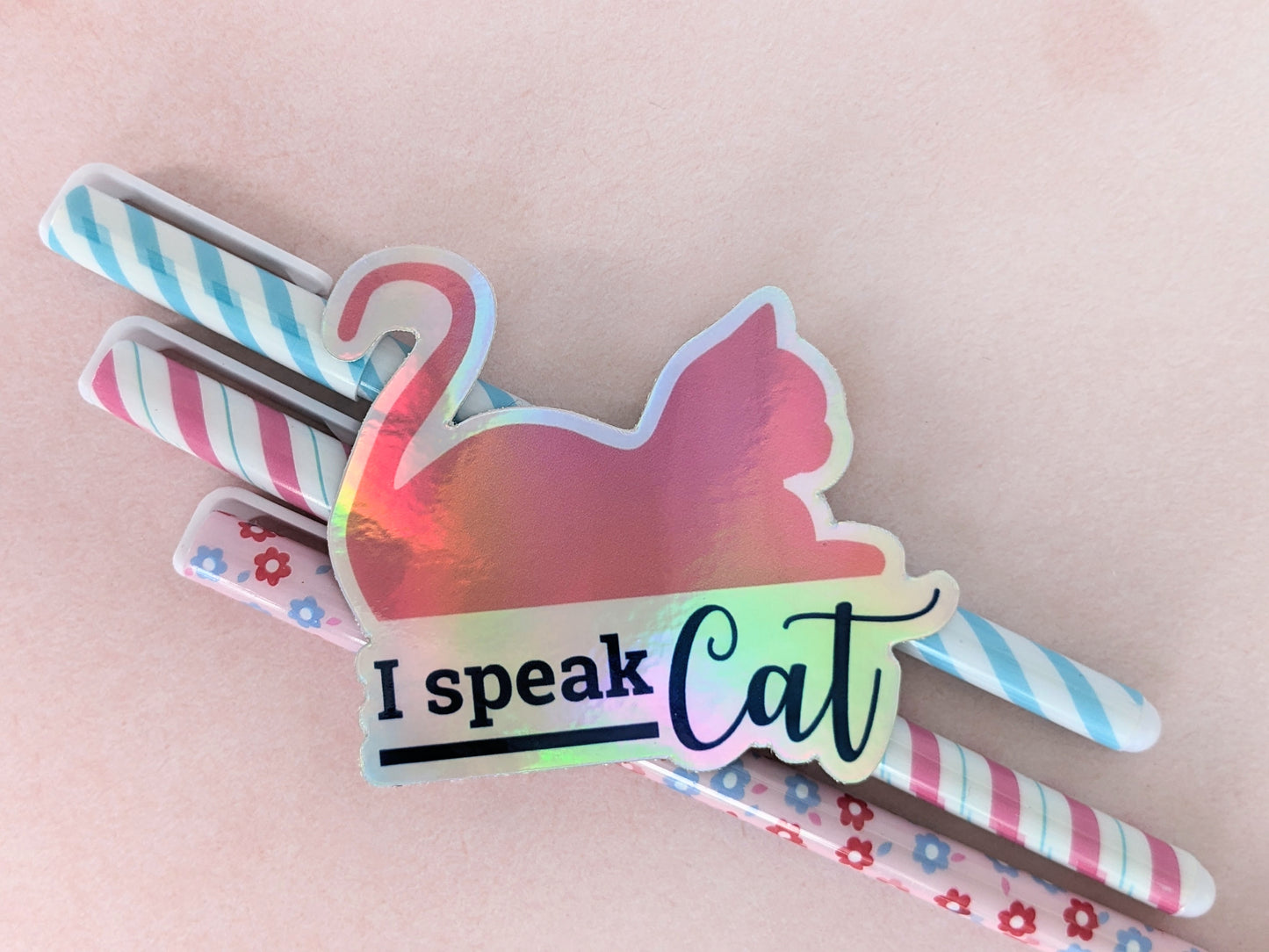 Sticker "I speak Cat"