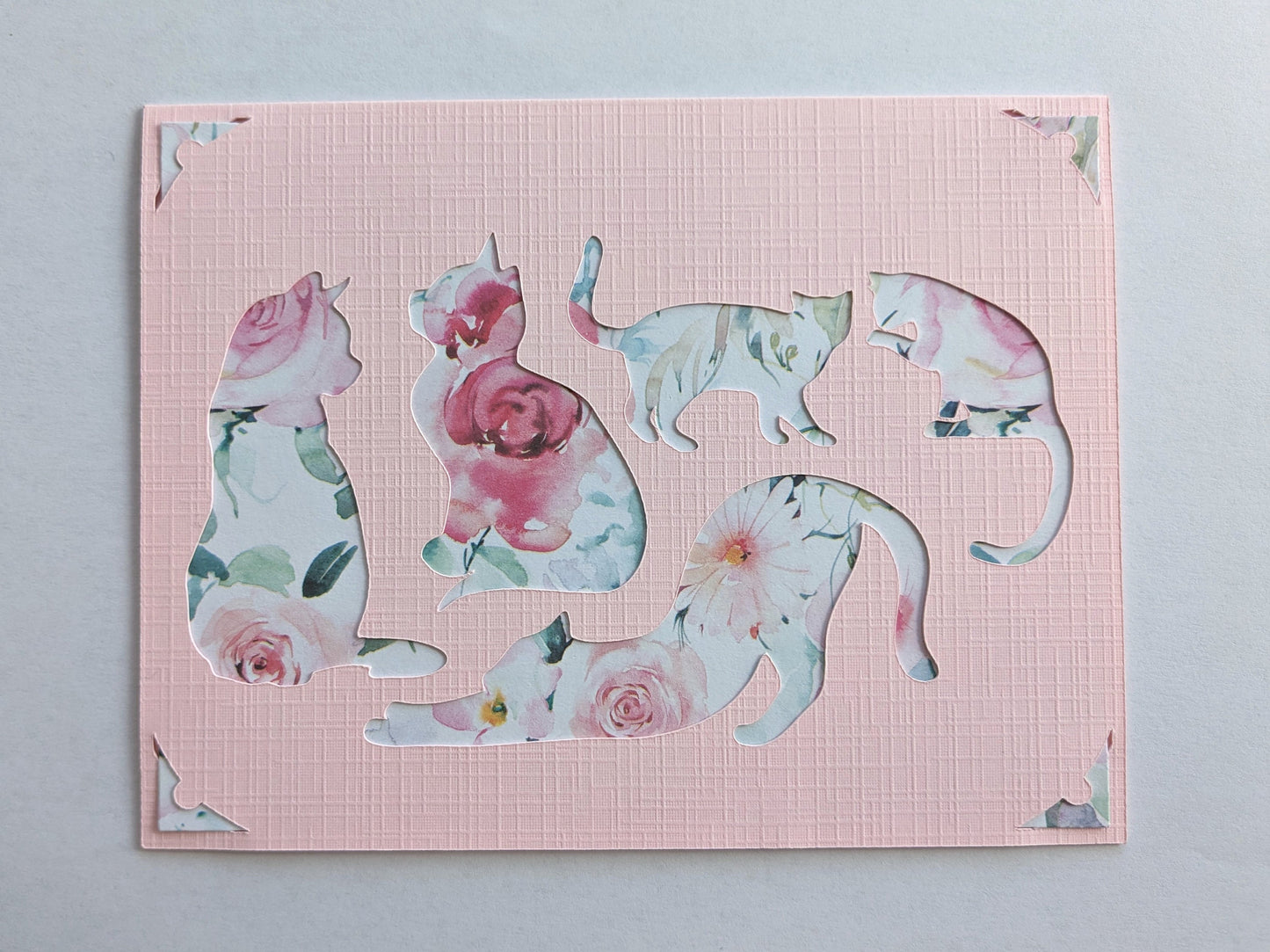 Kort/Card with cats in a pretty flowery pattern
